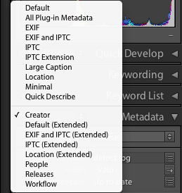 Metadata Panels Lightroom 3 tagset list