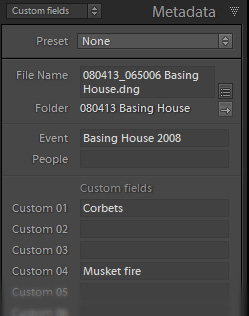 SRT custom panel.png